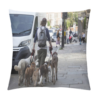 Personality  Man Walking Dogs On Leashes Pillow Covers