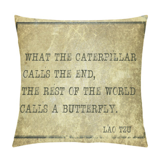 Personality  Calls End Lao Tzu Pillow Covers