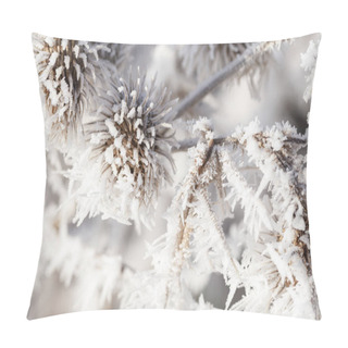 Personality  Thistle In Winter Covered In Long Ice Crystals From Freezing Fog. Macro Close Up Of Frost On A Garden Plant Pillow Covers