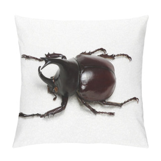 Personality  Insect Isolated On White Pillow Covers