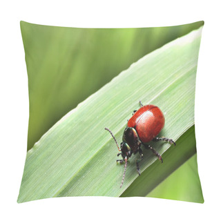 Personality  Bugs Crawling On The Grass Shoots Pillow Covers