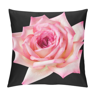 Personality  Pink And Cream Rose On Black Pillow Covers