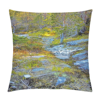 Personality  Colorful Landscape Of A Rocky Forest With Lush Green Trees Growing On A Summer Day. Peaceful And Scenic View Of The Outdoors Or A Thriving Ecosystem. Vibrant Nature In The Woods During Spring. Pillow Covers