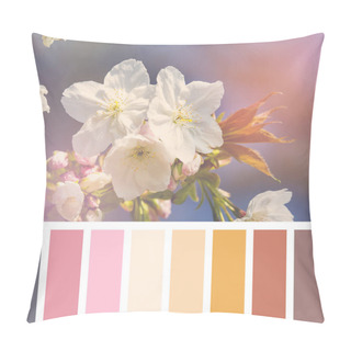 Personality  Cherry Blossom In Spring Sunshine With Colour Palette Of  Complimentary Colour Swatches. Pillow Covers