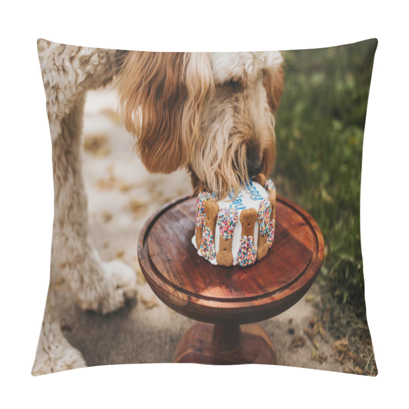 Personality  Goldendoodle eats his birthday cake outside in backyard of home pillow covers