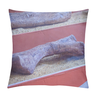 Personality  Display Of Realistic Skeletons Of Dinosaurs Leg Bones Pillow Covers