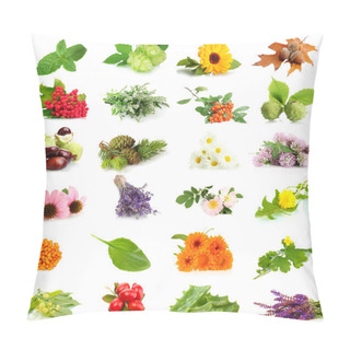 Personality  Collage Of Herbs And Plants Isolated On White Pillow Covers