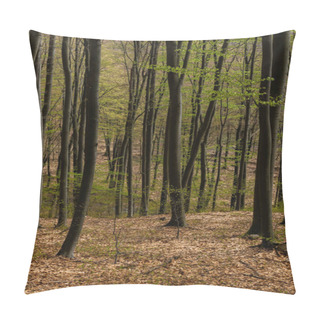 Personality  Trees With Green Leaves In Mountain Forest  Pillow Covers