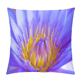 Personality  Water Lily,Lotus Or Waterlily Flower In Pool Pillow Covers