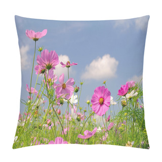 Personality  Cosmea 12 Pillow Covers