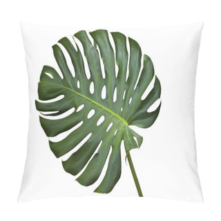 Personality  Monstera Pillow Covers