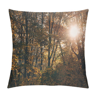 Personality  Sunshine Through Tree Twigs In Peaceful Forest Pillow Covers