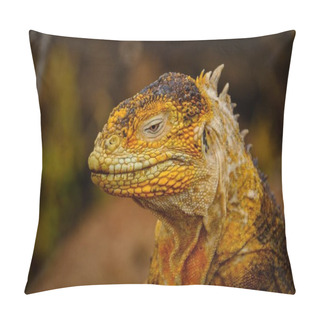 Personality  Closeup Shot Of A Head Of A Yellow Iguana With A Blurred Background Pillow Covers