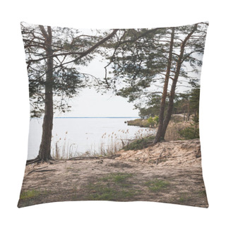 Personality  Green Trees Near Reeds And Tranquil Lake  Pillow Covers