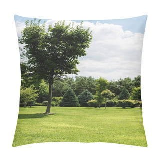 Personality  Green Leaves On Trees Near Bushes And Pines On Grass In Park  Pillow Covers
