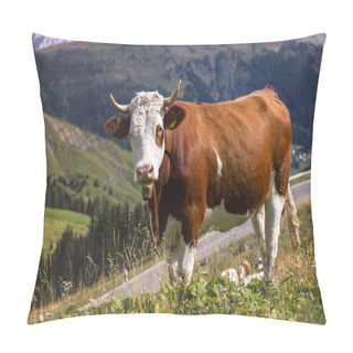Personality Group Of Italian Cows On A Pasture. Mountains Dolomites, Ital Pillow Covers