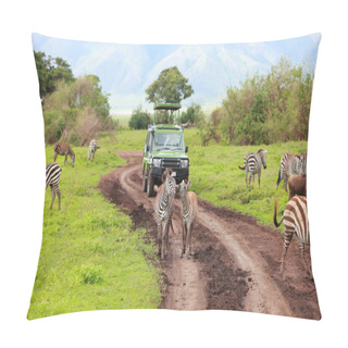 Personality  Game Drive Pillow Covers