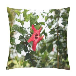Personality  Red Hibiscuses Flower Of The Genus Hibiscus Pillow Covers