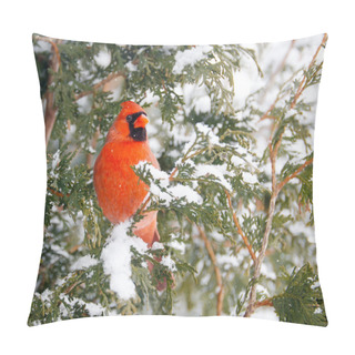 Personality  Male Northern Cardinal In Winter. Pillow Covers