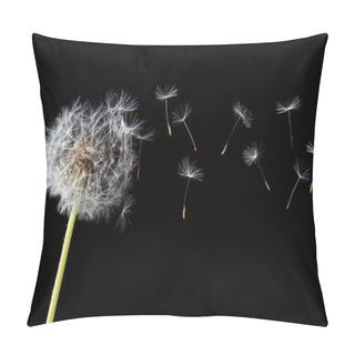 Personality  Dandelion Blowing Pillow Covers