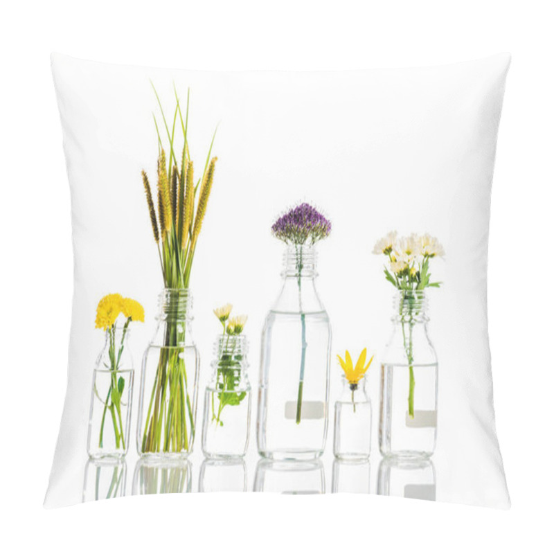 Personality  glass jars with blooming flowers isolated on white, alternative medicine concept pillow covers