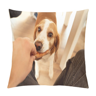 Personality  Curious Beagle Dog Under The Table Eating Something. Pillow Covers