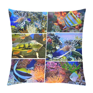 Personality  Marine Tropical Fish Pillow Covers