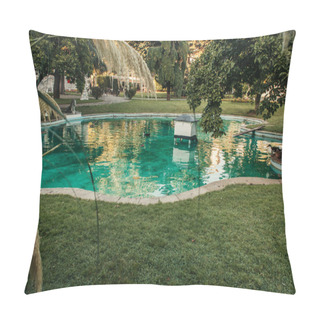 Personality  Grassy Lawn Near Artificial Lake With Wild Ducks In Park  Pillow Covers