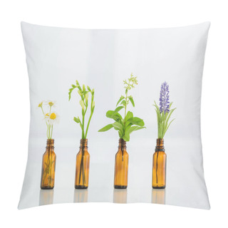 Personality  Chamomile, Freesia, Salvia And Hyacinth Flowers In Glass Bottles On White Background Pillow Covers
