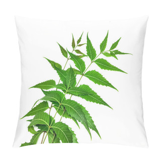Personality  Azadirachta Indica  A Branch Of Neem Tree Leaves Isolated On White Background. Natural Medicine. Pillow Covers