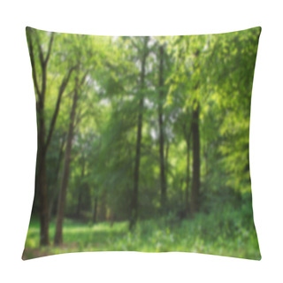 Personality  English Woodland In The Early Morning Sun Out Of Focus. Pillow Covers