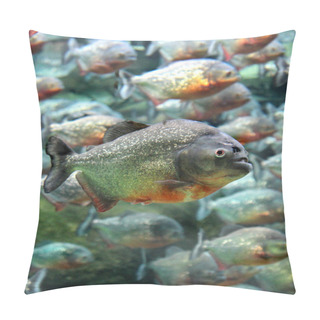 Personality  Red Bellied Piranha Swimming Underwater Pillow Covers