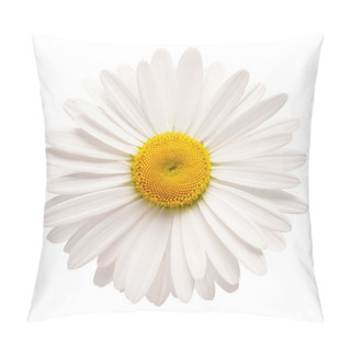 Personality  One White Daisy Flower Isolated On White Background. Flat Lay, T Pillow Covers