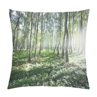 Personality  Green Birch Forest On A Clear Sunny Day. Public Park. Tree Trunks Close-up. Pure Sunlight, Daylight, Sunbeams. Ecology, Eco Tourism, Nordic Walking, Landscape Design, Landscaping Pillow Covers