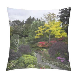 Personality  Path For Tourists. Pillow Covers