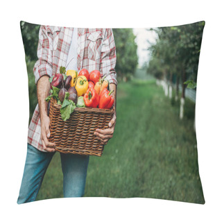 Personality  Farmer Holding Basket With Vegetables Pillow Covers