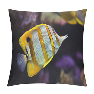 Personality  Copperband Butterflyfish (Chelmon Rostratus).  Pillow Covers