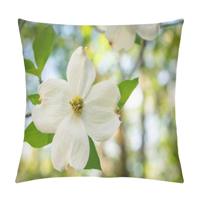 Personality  a white dogwood tree flower in the forest in spring pillow covers