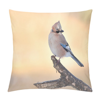 Personality  Jay Bird On Branch Pillow Covers