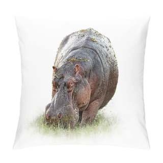 Personality  Hungry Hippo Isolated On White Pillow Covers