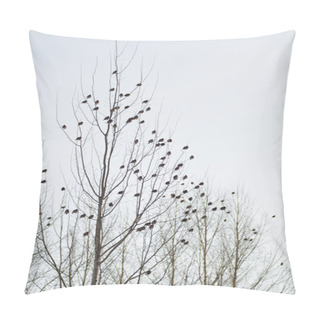 Personality  Group Of Waxwings Sits On A Tree Pillow Covers