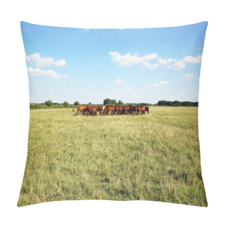 Personality  Purebred Chestnut Foals And Mares Eating Green Grass On The Mead Pillow Covers