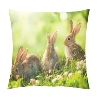 Personality  Rabbits. Art Design Of Cute Little Easter Bunnies In The Meadow Pillow Covers