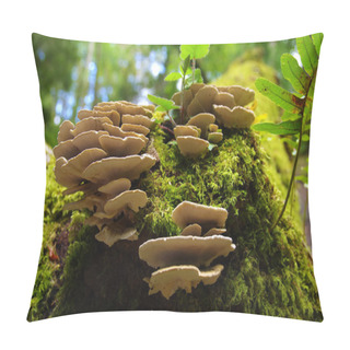 Personality  Forest Fungus Pillow Covers