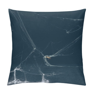 Personality  Scary Halloween Background With White Web And Spider Pillow Covers