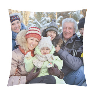 Personality  Big Family Posing Outdoors Pillow Covers