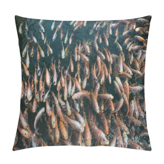 Personality  Carps Pillow Covers