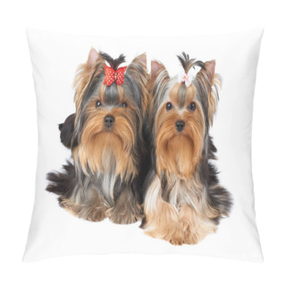 Personality  Two Cute Dogs Pillow Covers