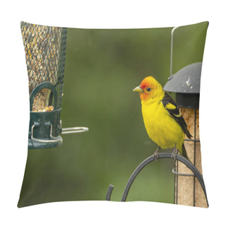 Personality  Male Western Tanager Perched On Bird Feeder Pillow Covers