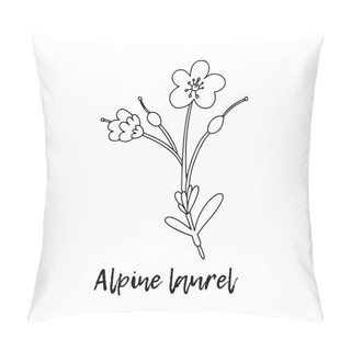 Personality  Alpine Laurel (Kalmia Microphylla). Ayurveda. Natural Herbs. Ayurvedic Herbs, Medicines. Herbal Illustration. A Medicinal Plant. The Style Of Doodles. Medicines For Health From Plants.  Pillow Covers